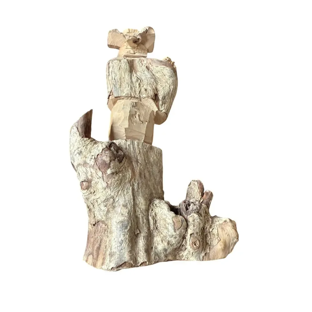 Unbranded coffee root